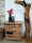 Schubladen Kommode Anrichte Sideboard B 72 H 80 cm California massiv