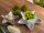 Dekoschalen 2er Set Starlight gold o. silber Weihnachtsdeko Aluminium Stern