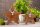 Holzfigur Stern 2er Set mit Hirschkopf 25/19cm Aufsteller Mangoholz Aluminium
