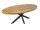 Esstisch oval 190x100cm Esszimmer Tisch Liverpool Mangoholz massiv stabil