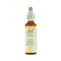 Bach Flower Remedie Gorse -- 20 ml