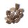 Citrin natur Trommelsteine A Qualit&auml;t -- &plusmn;500g; &plusmn;3x4cm