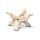 Cobra Stand Stativ klein natur -- 10cm