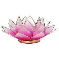 Lotus Teelichthalter rosa/weiß goldfarbig -- 13.5 cm
