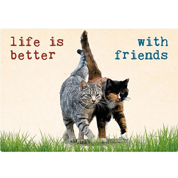 Postkarte Life is better.. -- 15x10.5 cm