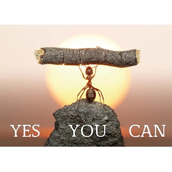 Postkarten Yes you can -- 15x10.5 cm
