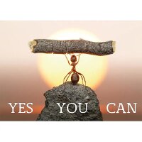 Postkarten Yes you can -- 15x10.5 cm
