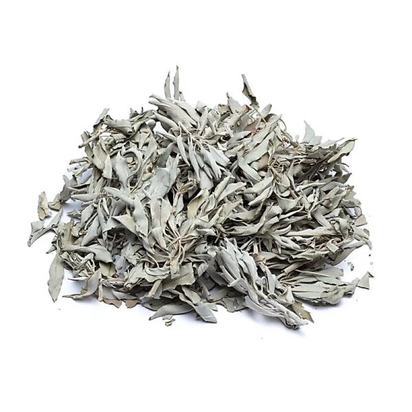 Räucherware Weißer Salbei lose (Salvia Apiana) -- 500 g