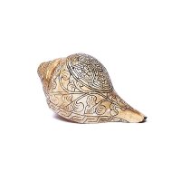 Ritual Muschel Trompete mit OMPMH -- ±18 cm