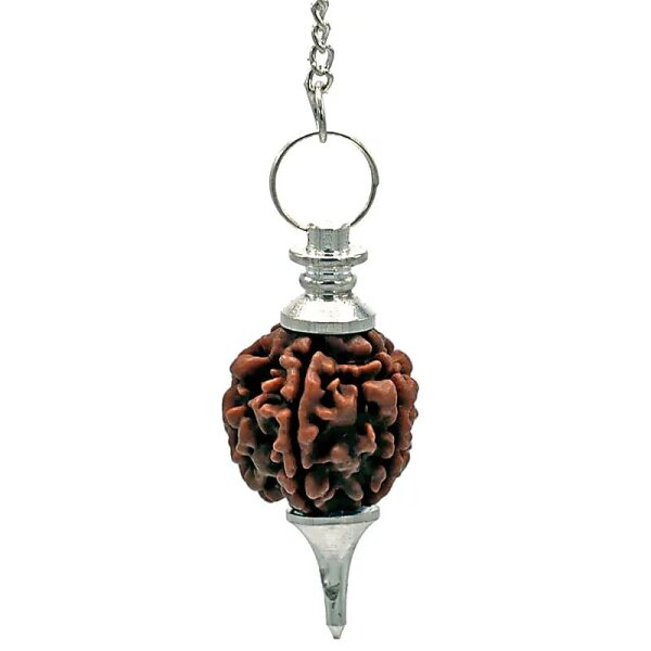 Rudraksha Pendel silberfarbig -- 10 g; 4.5 cm