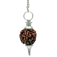Rudraksha Pendel silberfarbig -- 10 g; 4.5 cm