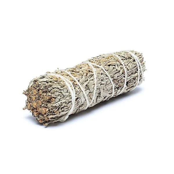 Shasta Salbei Smudge S 2er-Set -- ±10-11cm; ±25-35 g