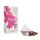 Solaris Bloom Kr&auml;utertee Full Bloom BIO -- 15x2 g