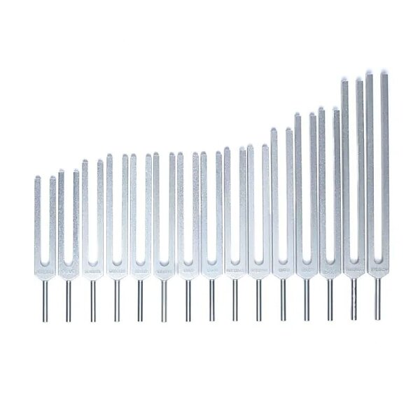 Stimmgabel-Set Menschliche Organe -- 69x29 cm