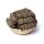 Wacholder Smudge S mit 24 im Korb -- &plusmn;10-11cm; &plusmn;25-35g