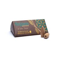 Weißer Salbei natürliche Rückfluss...