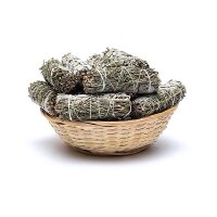 Weißer Salbei Smudge mit Rosmarin S pro 24...