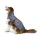 Hundemantel mit Lammfell
